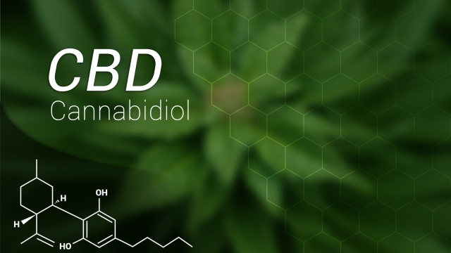 The Power of CBD: Exploring the Remarkable Benefits of CBD Products