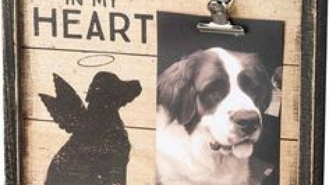 10 Heartwarming Ways to Honor Your Beloved Pet with a Memorial