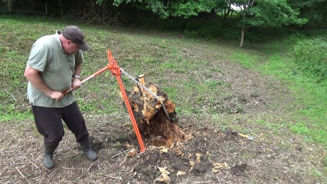 The Art of Timber: Mastering Tree Removal Techniques