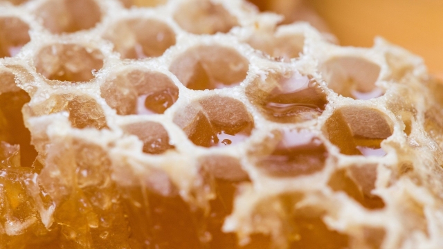 The Sweet Poison: Unveiling the Secrets of Mad Honey