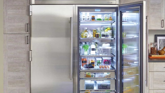 Frosty Finesse: Unleashing the Power of Sub Zero Appliances and Freezers