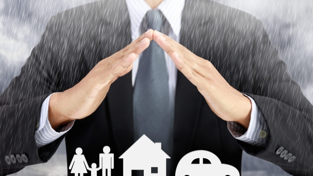 Guarding Your Business: The Small Business Insurance Guide