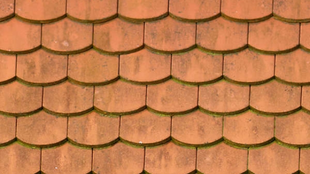 Rooftop Revelations: Unveiling the Beauty and Practicality of Roofing