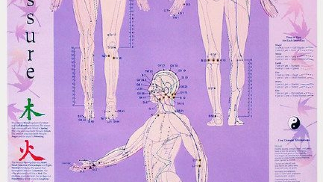 The Ancient Art of Acupuncture: Needles That Heal