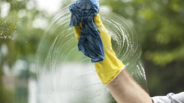 Shining a Light on the Art of Window Cleaning