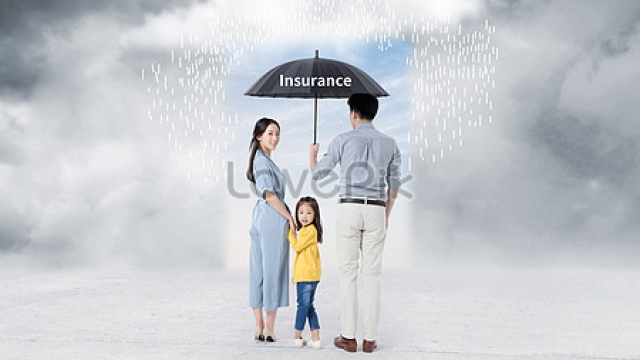 Insuring Your Small Business: Protecting the Foundations of Success