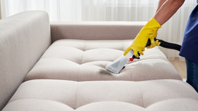 Tudo o que você precisa saber sobre limpeza de sofá