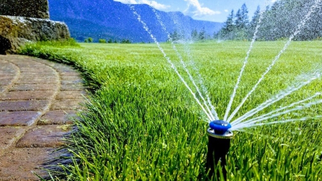 Unleashing the Power of Precision: A Guide to Exceptional Irrigation Installers