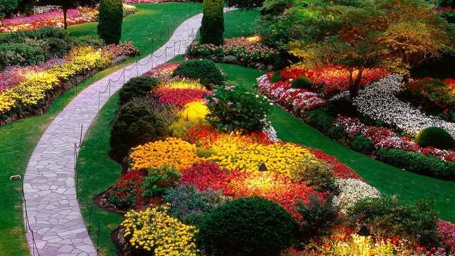 Nature’s Canvas: Unveiling the Art of Landscaping