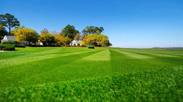 The Ultimate Guide to Achieving a Lush and Impeccably Manicured Lawn: Expert Tips for Lawn Mowing and Care