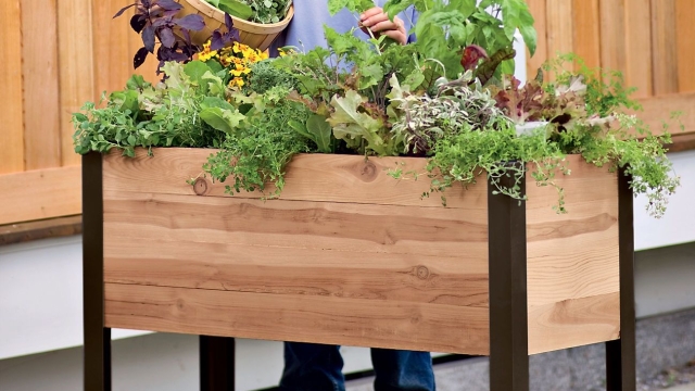 Blooming Bliss: Unveiling the Secrets of Garden Beds