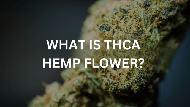 Blossoming Benefits: Exploring the Wonders of THCA Flower