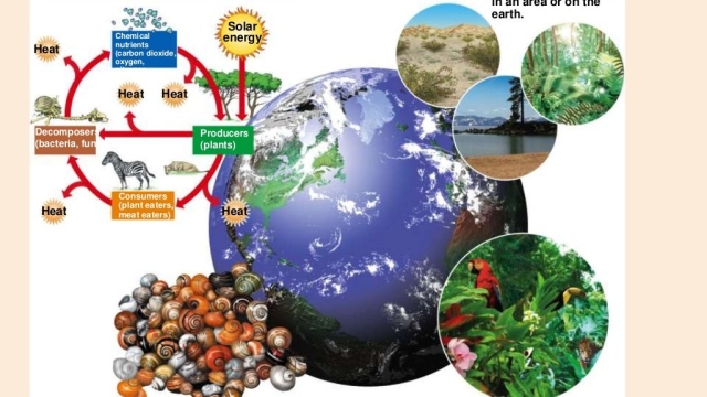 Eco-Richness: Exploring the Tapestry of Biodiversity