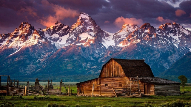 Embrace Nature: The Timeless Allure of Log Cabins and Log Homes