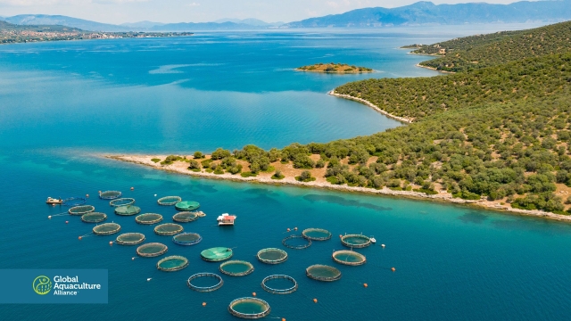 Underwater Innovations: The Future of Aquaculture Technology