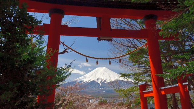 Whispers of the Kami: Exploring the Enchantment of Japan’s Shinto Shrines